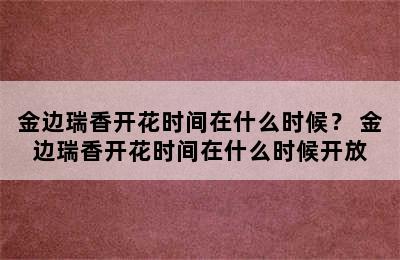 金边瑞香开花时间在什么时候？ 金边瑞香开花时间在什么时候开放